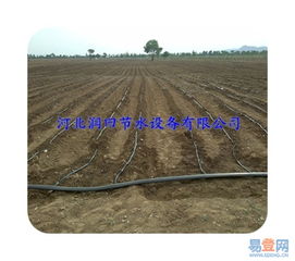 辽宁朝阳棉花节水灌溉设备的图片