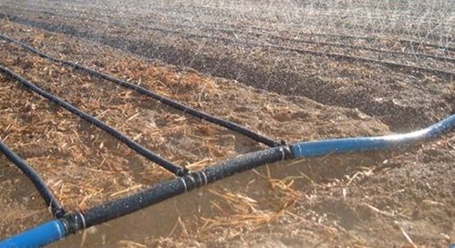 【杭州喷灌带设备价格pe管自动灌溉】-
